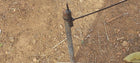 See the 209 primer trip alarm in action - Thumbnail Image